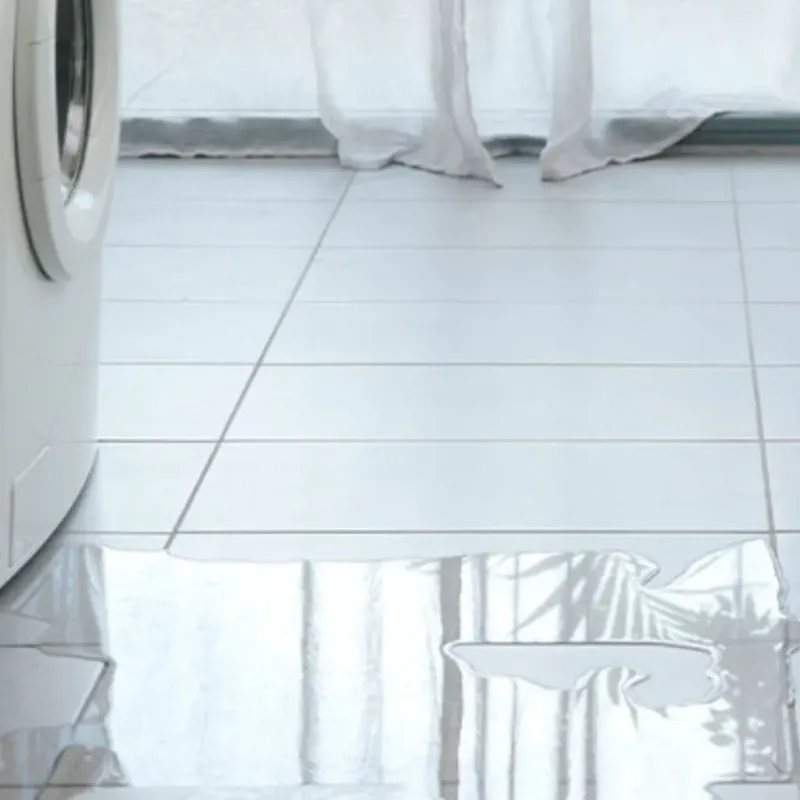 Appliance Leak Cleanup in Green Acres, CA