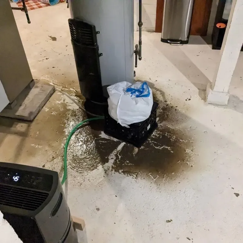 Sewage Backup Cleanup Service in Green Acres, CA